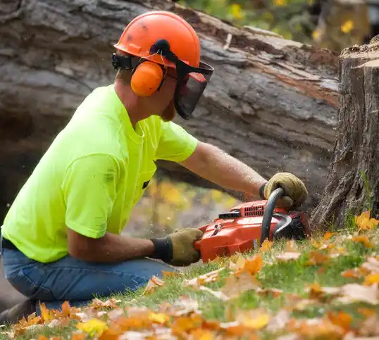 tree services Fort Polk North